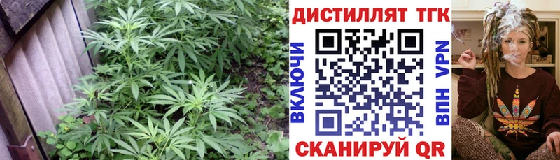 купить наркоту  Углегорск  ТГК вейп 